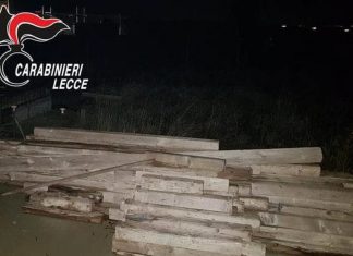 In un cantiere per rubare travi di legno: scarcerati due giovani dopo convalida