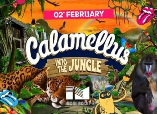 Calamellus into the jungle