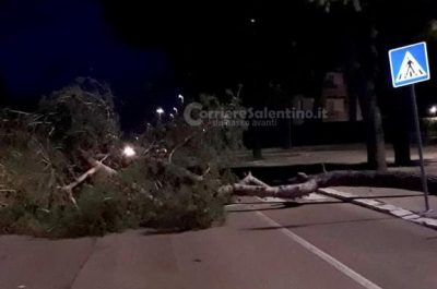 Violente raffiche di vento abbattono la cupola della casa del mutilato: cadono alcuni alberi - Corriere Salentino