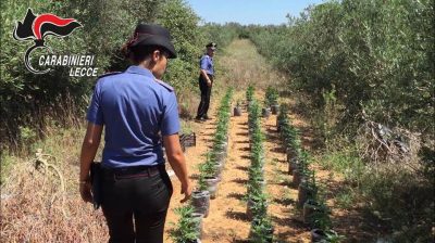 Un anno di lotta all'illegalità: ecco il bilancio del 2018 dell'Arma dei Carabinieri - Corriere Salentino