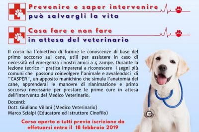 Ad Arnesano il "Corso teorico-pratico di primo soccorso veterinario del cane" - Corriere Salentino