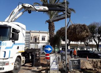 Nardò, piazza Mazzini senza palme per i lavori della rotatoria