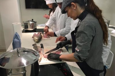 SottoCuoco: l'app presentata oggi in anteprima a Lecce. Cooking Session con i SottoCuochi della chef Alessandra Civilla - Corriere Salentino