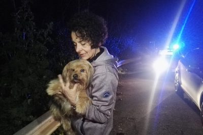 York, un concentrato di pelo e tenerezza salvato sulla Leuca - Morciano - Corriere Salentino