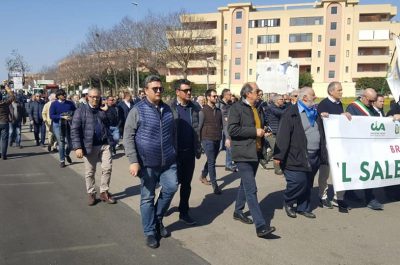 Xylella, arrivano i trattori a Lecce: problemi alla circolazione - Corriere Salentino