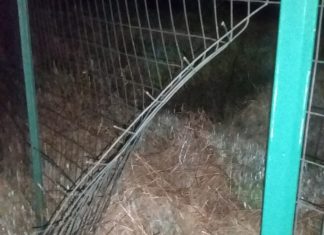 “Bucano” la recinzione per rubare pannelli solari, arrivano le guardie giurate ed il colpo sfuma