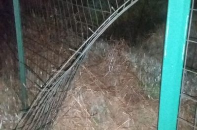 I ladri ci riprovano, ma è ancora un "flop": sventato un altro furto di cavi e pannelli solari - Corriere Salentino