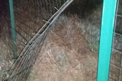 I ladri ci riprovano, ma è ancora un "flop": sventato un altro furto di cavi e pannelli solari - Corriere Salentino