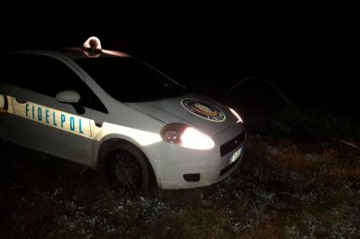 Tagliano il recinto e manomettono le telecamere, ma arriva la vigilanza e scappano: sfuma il furto al campo fotovoltaico - Corriere Salentino