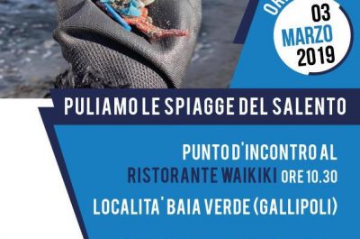 Sea Shepherd approda a Baia Verde - Corriere Salentino