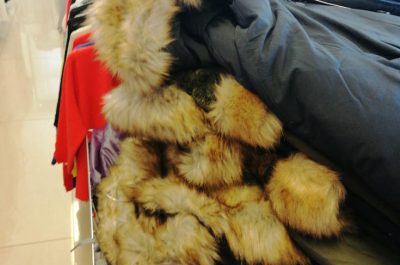 Pellicce di dubbia provenienza, sequestrati 38 capi di abbigliamento nel neretino - Corriere Salentino