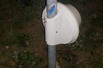 Tagliano il recinto e manomettono le telecamere, ma arriva la vigilanza e scappano: sfuma il furto al campo fotovoltaico - Corriere Salentino