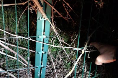 Tagliano il recinto e manomettono le telecamere, ma arriva la vigilanza e scappano: sfuma il furto al campo fotovoltaico - Corriere Salentino