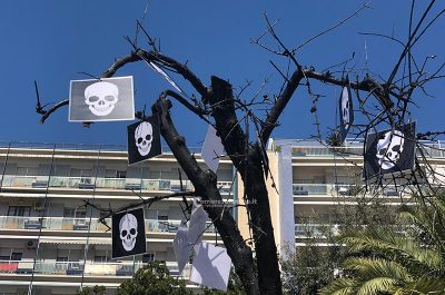 Xylella: agricoltori in piazza a Lecce. Emiliano:“Al Premier Conte chiediamo 500 milioni di euro” - Corriere Salentino