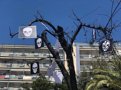 Xylella: agricoltori in piazza a Lecce. Emiliano:“Al Premier Conte chiediamo 500 milioni di euro” - Corriere Salentino