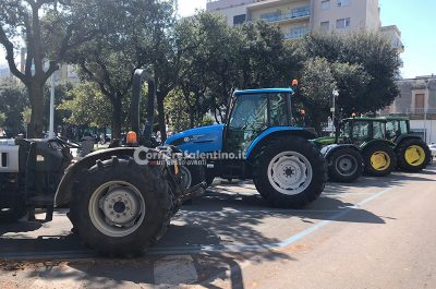 Xylella: agricoltori in piazza a Lecce. Emiliano:“Al Premier Conte chiediamo 500 milioni di euro” - Corriere Salentino