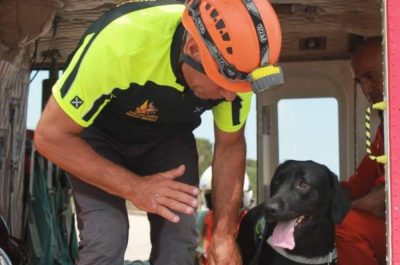 Tommy ora corre sul Ponte: addio al cane eroe dei terremoti nel centro Italia - Corriere Salentino