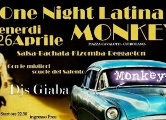 One Night Latina MonKey