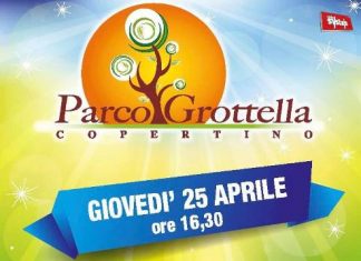 Parco Grottella: Vivaz