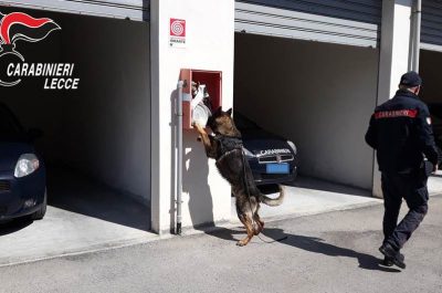 Cultura della legalità: gli studenti in visita alla caserma dei Carabinieri di Gallipoli - Corriere Salentino
