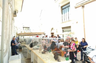 Tutto pronto per la 171° Fiera di San Marco a Caprarica - Corriere Salentino