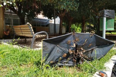 Degrado parchi e aree verdi, Baglivo: "Un lungo elenco di spazi abbandonati, con spreco di denaro pubblico" - Corriere Salentino