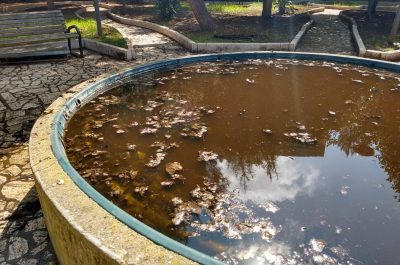 Degrado parchi e aree verdi, Baglivo: "Un lungo elenco di spazi abbandonati, con spreco di denaro pubblico" - Corriere Salentino