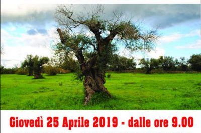 Xylella, manifestazione giovedì 25 aprile a Giurdignano - Corriere Salentino