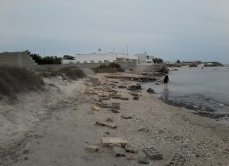 “Erosione costiera e misure di mitigazione”, se ne discute in un convegno a Bari