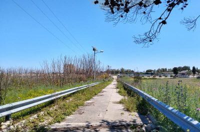 Piste ciclabili, Baglivo: "Necessario investire sulle due ruote per un rilancio della città, delle marine e del turismo" - Corriere Salentino