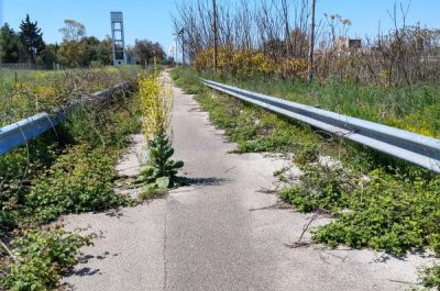 Piste ciclabili, Baglivo: "Necessario investire sulle due ruote per un rilancio della città, delle marine e del turismo" - Corriere Salentino