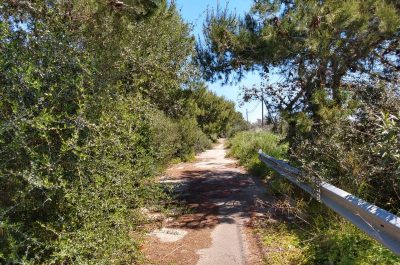 Piste ciclabili, Baglivo: "Necessario investire sulle due ruote per un rilancio della città, delle marine e del turismo" - Corriere Salentino