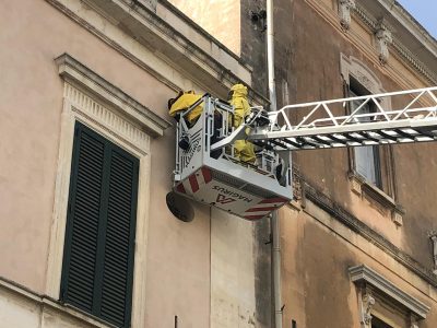 Sciame d’api genera disagi lungo viale Otranto: vigili del fuoco lo rimuovono - Corriere Salentino