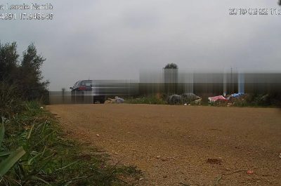 Nardò, le fototrappole incastrano i primi sporcaccioni del 2019 - Corriere Salentino