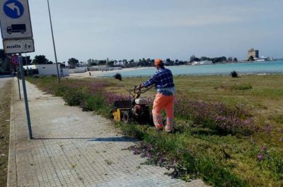Verde, erbacce, cespugli. Operai al lavoro a Sant'Isidoro - Corriere Salentino