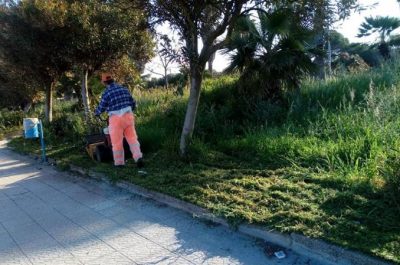 Verde, erbacce, cespugli. Operai al lavoro a Sant'Isidoro - Corriere Salentino