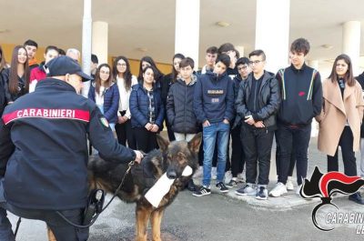 Cultura della legalità: gli studenti in visita alla caserma dei Carabinieri di Gallipoli - Corriere Salentino