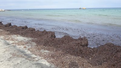 Fiorella: "Il degrado in cui versa la marina di San Cataldo è imbarazzante" - Corriere Salentino