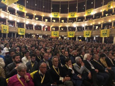La strage degli ulivi vista dall’alto, Centinaio all’incontro con i Coldiretti: “Lo Stato dovrebbe chiedere scusa” - Corriere Salentino