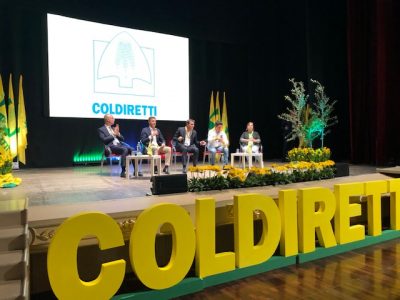 La strage degli ulivi vista dall’alto, Centinaio all’incontro con i Coldiretti: “Lo Stato dovrebbe chiedere scusa” - Corriere Salentino