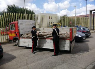 Sorpresi a rubare nel campo fotovoltaico, componenti della banda lasciano il carcere