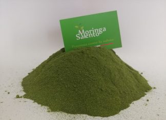 Nel Salento cresce la prima coltivazione di Moringa