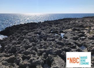 “La spiaggia inesistente dedicata agli amici a 4 zampe”: l’accusa di Nardò Bene Comune. La replica di Andare Oltre: “a qualche buontempone serve studiare”