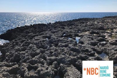 "La spiaggia inesistente dedicata agli amici a 4 zampe”: l’accusa di Nardò Bene Comune. La replica di Andare Oltre: “a qualche buontempone serve studiare” - Corriere Salentino