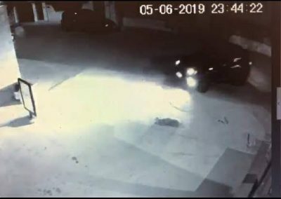 Follia e orrore: travolge un cane e poi in retromarcia lo rischiaccia e lo uccide - Corriere Salentino