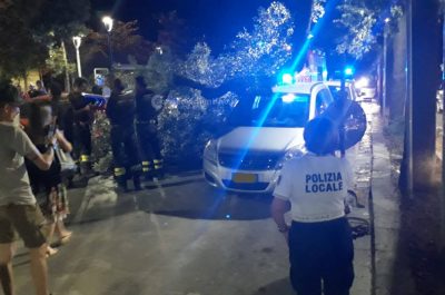 Grosso ramo si spezza e si abbatte su un'auto in sosta: tragedia sfiorata nel centro di Lecce - Corriere Salentino