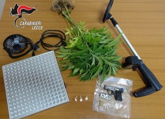 Addosso cocaina, in casa pistola, munizioni e due piante di marijuana: in carcere un 20enne