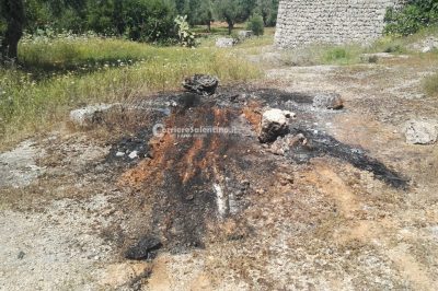 Ladri scatenati nella notte: supermercati nel mirino. Fuga con tamponamento e pistolettate poi a fuoco auto rubata - Corriere Salentino