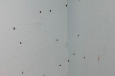 Camera mortuaria del Fazzi, muffe e aria irrespirabile: segnalazioni e proteste ai carabinieri - Corriere Salentino