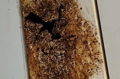 Camera mortuaria del Fazzi, muffe e aria irrespirabile: segnalazioni e proteste ai carabinieri - Corriere Salentino